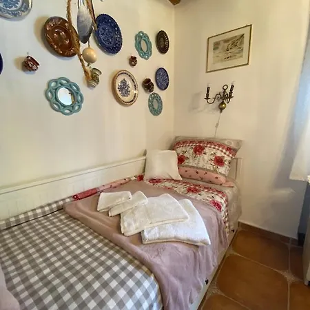 Lavender * Балатондьёрёк