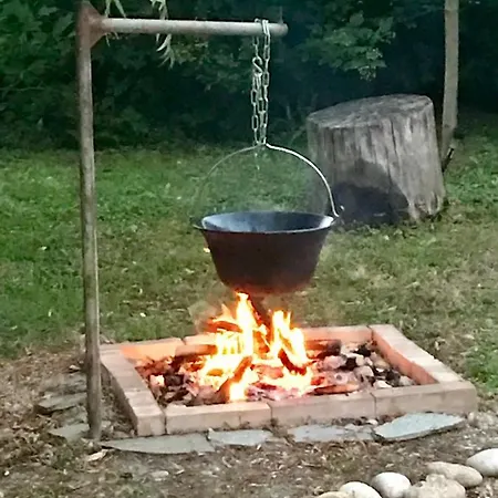 Lavender * Балатондьёрёк