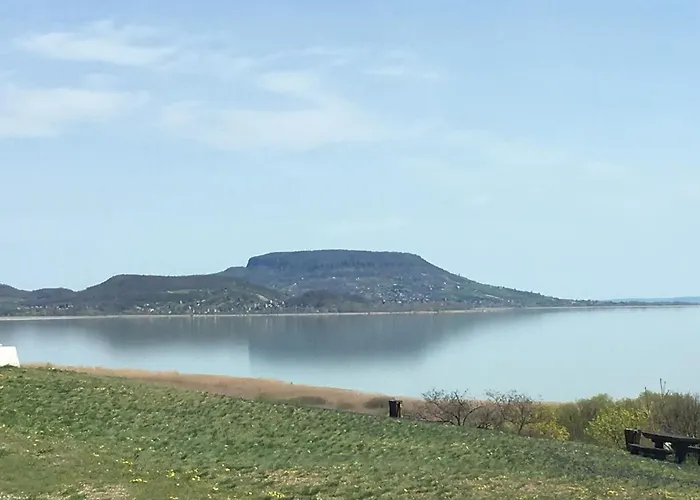Lavender * Балатондьёрёк